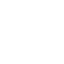 Icon1- Advanced Transaction