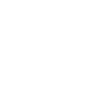 Icon3- Better Security